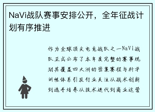 NaVi战队赛事安排公开，全年征战计划有序推进